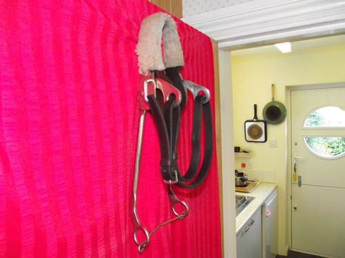 Hackamore continental with - continental,