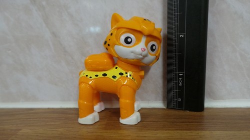 Cheetah cat pack wild - cheetah, /