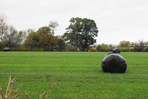 Photo silage bales a - photo, in