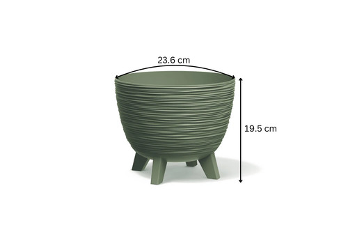 Round plant pots - plant, planter