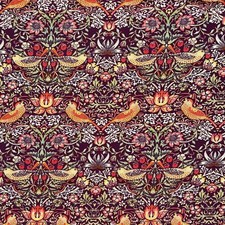 Armchair Adult Chair William