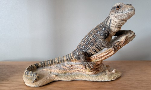 Country artists monitor lizard - country,