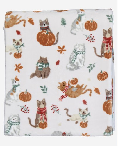 Harvest cats autumn fall - harvest,