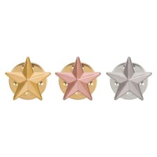 Star Badges 3D School Award