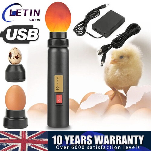 Egg tester high intensity - tester,