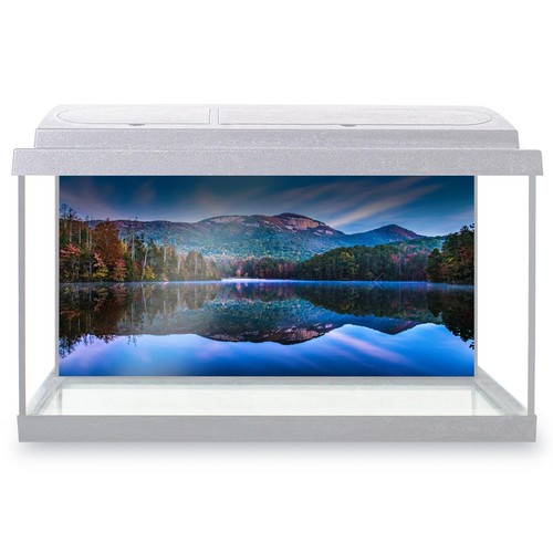 Fish tank background pinnacle - tank,