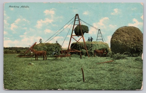Postcard stacking alfalfa - postcard,