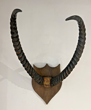 Antique Lechwe / African Antelope Horns - Mounted on wooden shield
