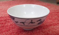 Chinese Rice Noodle Soup Bowl
