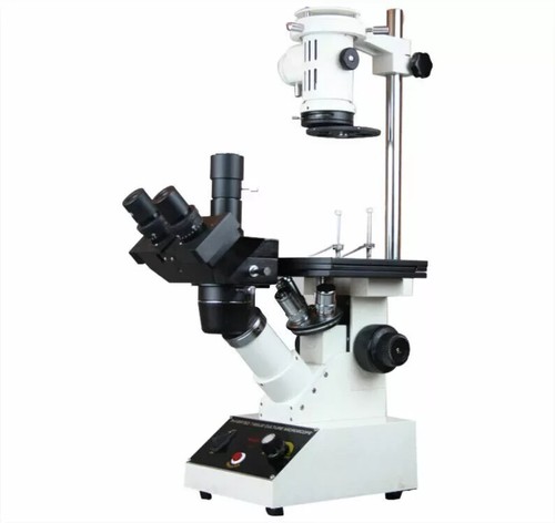 Inverted microscope tissue - inverted, —