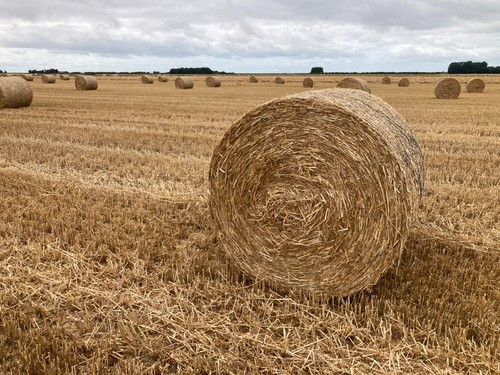Round bale wheat - round, straw