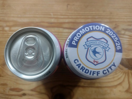 Cardiff city promotion - city, badge