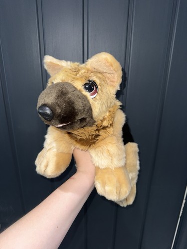 Keel cuddle puppies - cuddle,