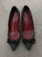 Next Generous Soles kitten