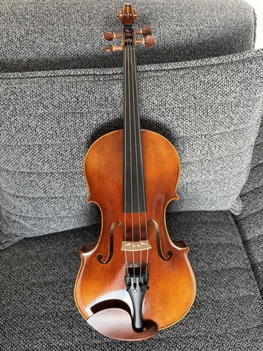 Viola chinese master - chinese,