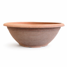 43cm terracotta bowl plant - 43cm,