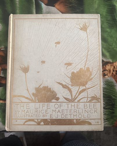 The life - the, maurice