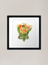 Gorgeous royal python framed - gorgeous,