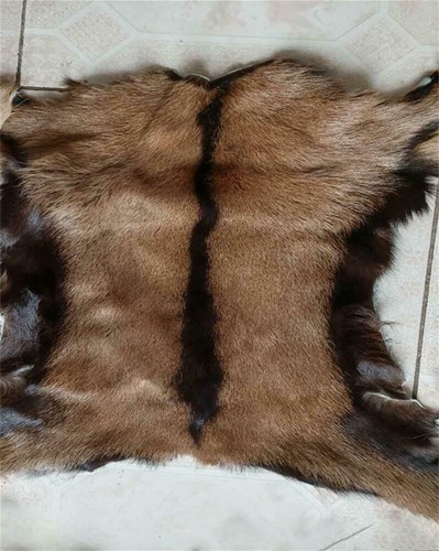Piece real skin fur pelt - skin,