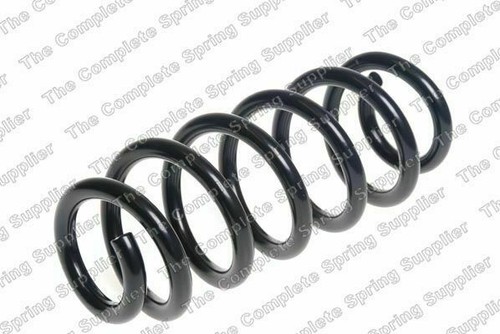 Rear suspension coil spring - rear,
