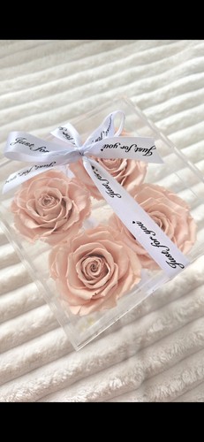 Forever preserved roses in - 4, forever/preserved