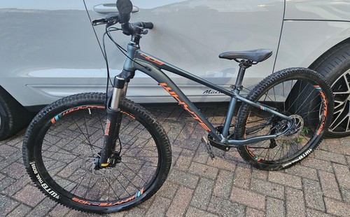 Whyte 403 13inch petrol - whyte,