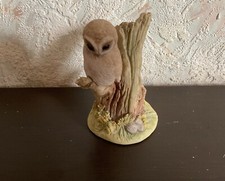 Teviotdale Scotland Owl on