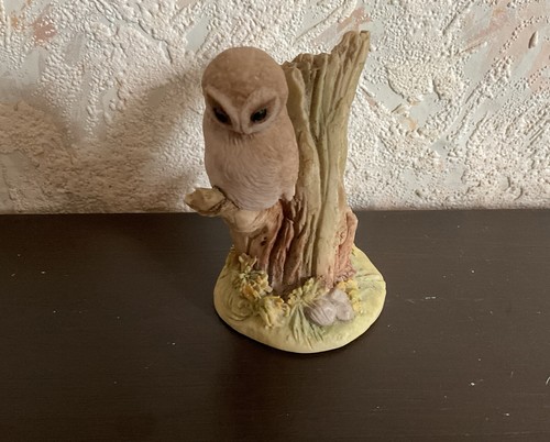 Teviotdale scotland owl - scotland,
