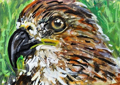 Original aceo painting red - aceo,
