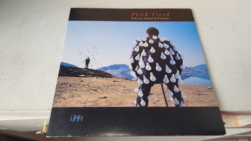 Pink floyd the delicate - pink,