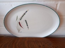 Denby Greenwheat Vintage Oval Steak Plate Very Good Condition 32 Cm