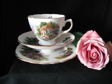 Royal Vale Cottage Garden Bone China Trio Tea Cup Saucer Plate