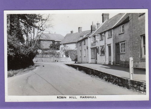Robin hill store - hill, shop
