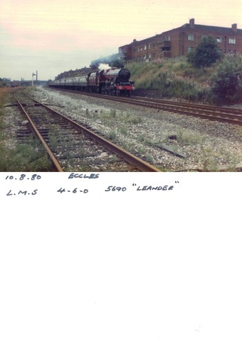 Vintage photograph lms 5690 - photograph,
