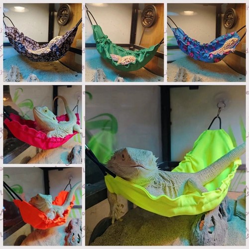 Reptology lizard hammock with - reptology,