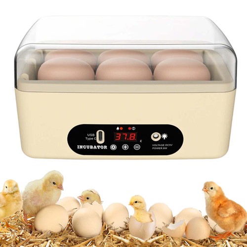 Egg incubator for - incubator,