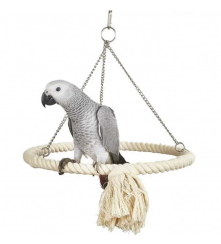 Parrot supplies hanging - hanging, rope