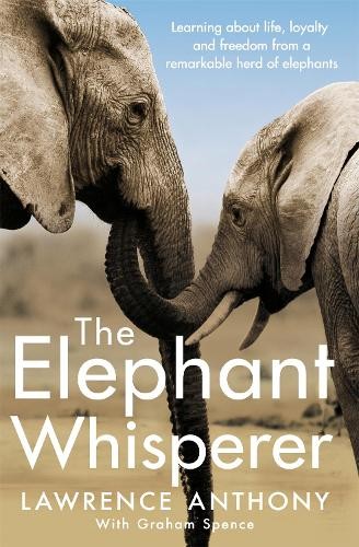The elephant whisperer - elephant,