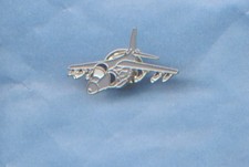 Enamel lapel pin badge of a