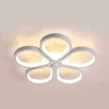 Chic LED Lamp Ceiling Light