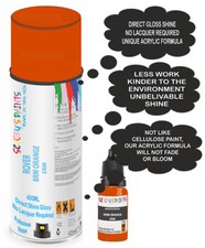 Aerosol Direct Gloss For Rover