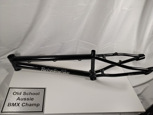 Factory team bikes junior