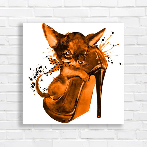 Cute toy terrier adorable - cute,