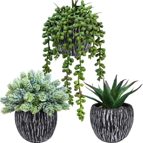 Set artificial succulent - of,
