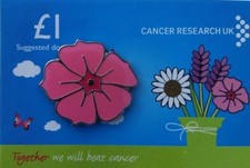 Cancer research charity pin - research,
