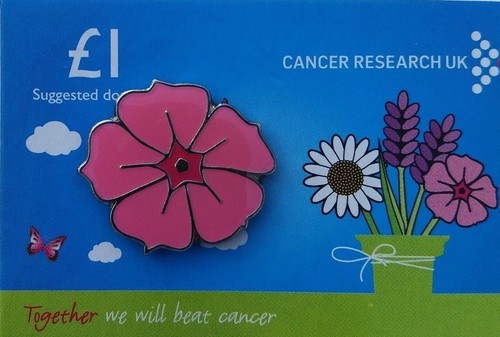 Cancer research charity pin - cancer,