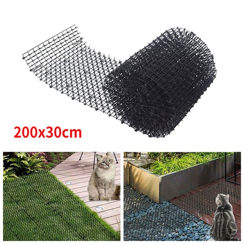 Animal scarer cat scat - animal,