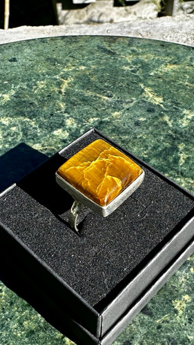 Silver tone square tiger - silver,
