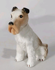 Japan Wire Fox Terrier Dog