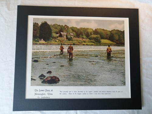 Vintage 1950s lower - vintage, bann